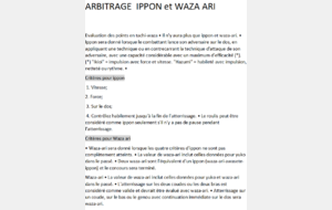 aide textuelle pour les critères IPPON et WAZA ARI