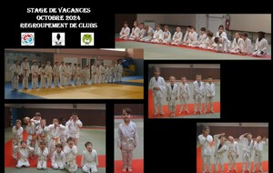 🥋📸 Retour en image - Stage octobre 2024 🥋📸