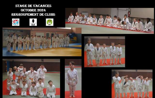 Stage Judo Octobre 2024